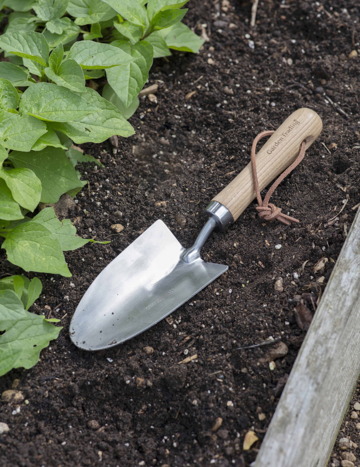 Hand Trowel