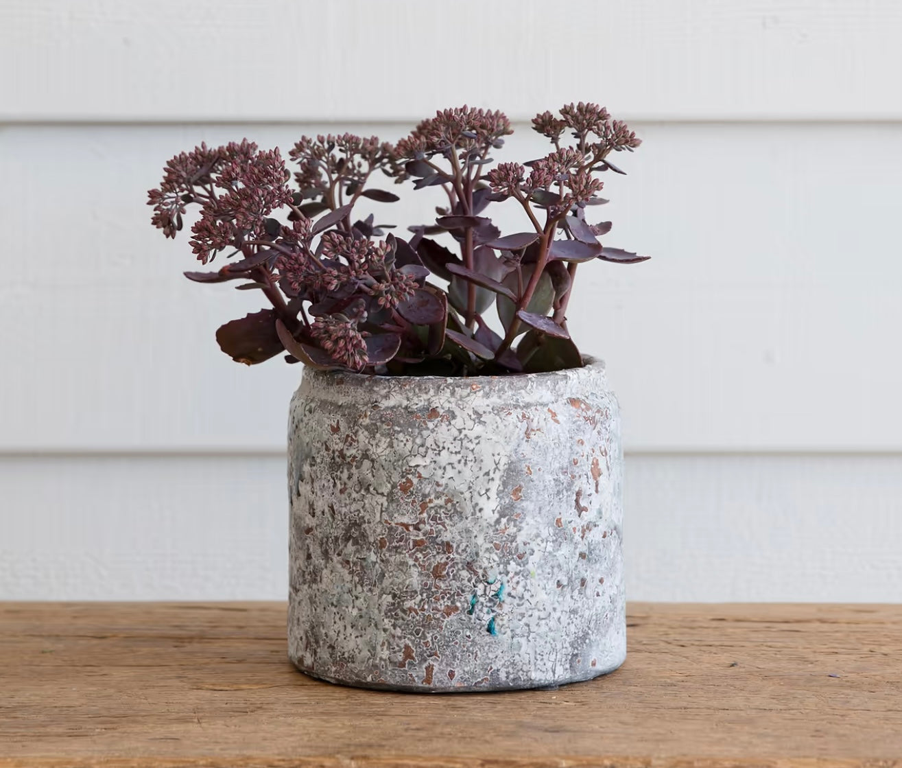 Plant Pot - Blue Glaze 11.5CM