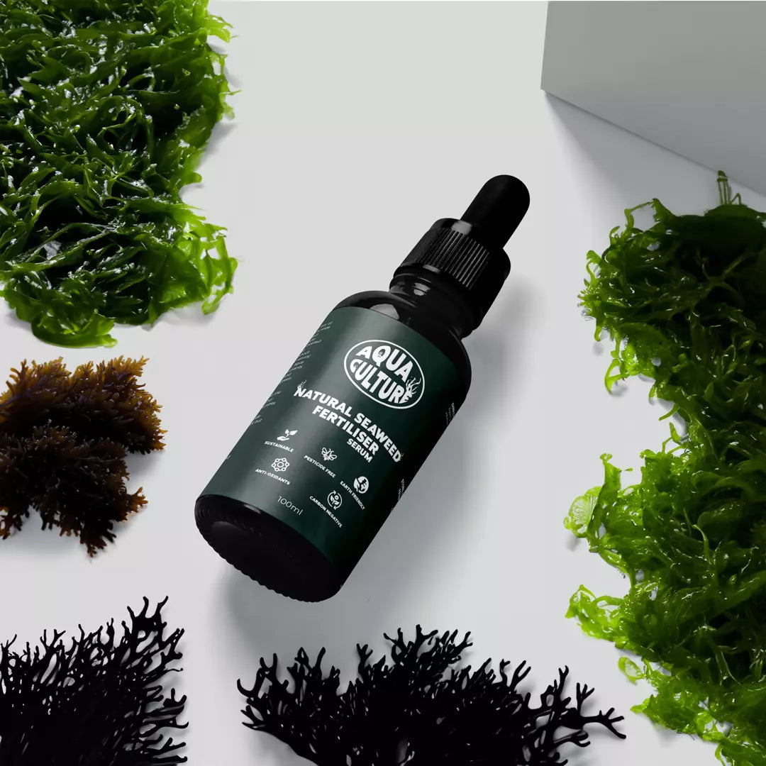 Seaweed serum fertiliser 100ml - Made in Cornwall